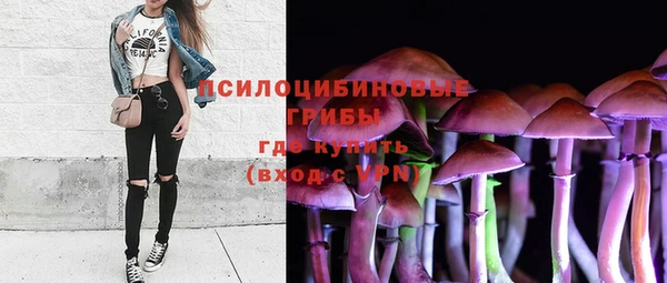 индика Белоозёрский