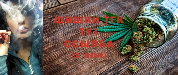 спиды Белокуриха